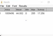 result_step12